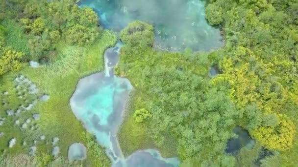 Озера Зеленые Луга Ели Ландшафт Красивый Словенья Целом Хорошая Страна — стоковое видео