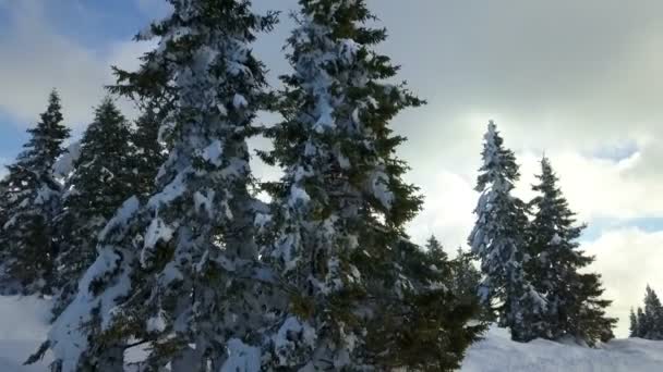 Clima Está Nublado Hay Mucha Nieve Por Todas Partes — Vídeo de stock