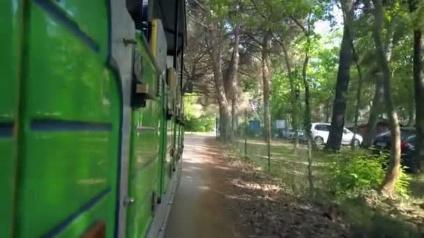 Зелений Автобус Туристами Їде Дорозі Середині Літнього Села — стокове відео
