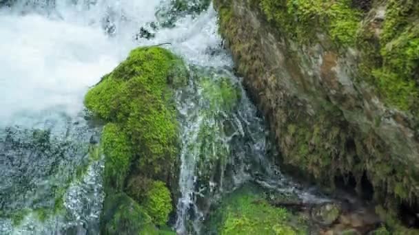 Красивая Пресная Вода Течет Скалам Лесу Камни Покрыты Мохом — стоковое видео