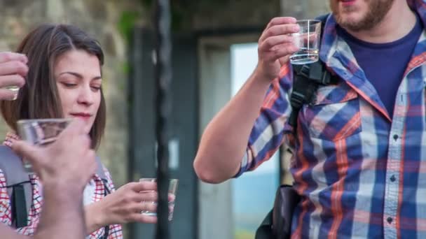 Young Folks Clink Glasses Drink Some Alcohol Drink Cups — Stock Video