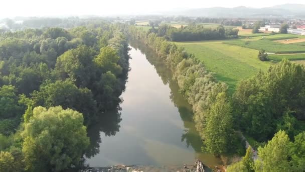 Beautiful Wide River Trees Both River Banks Aerial Shot Nature — ストック動画