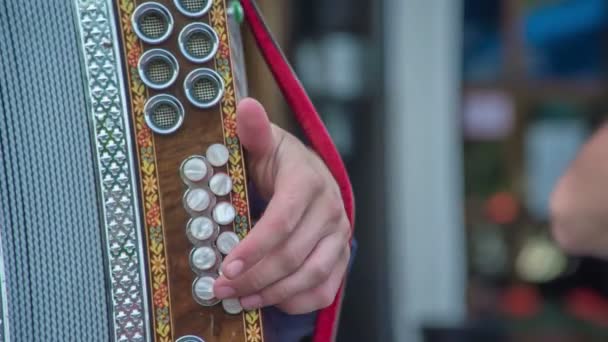 Banda Está Tocando Música Folclórica Feliz Para Casal Acabaram Casar — Vídeo de Stock