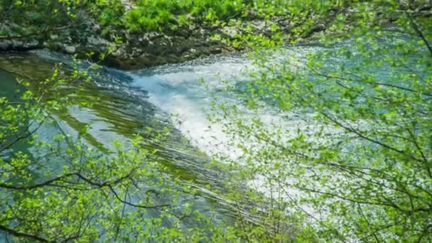 Peaceful River Flowing Nature Beautiful Green — Stock Video