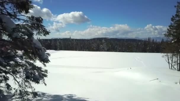 Наблюдая Красивый Холм Люди Катаются Лыжах Солнце Светит — стоковое видео