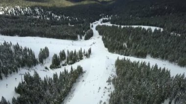 İnsanlar yokuş aşağı kayak pistlerinde kayak yapıyorlar. Hava görüntüsü.