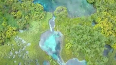 Çoğunlukla çam ağaçları olan ormanlar. Ayrıca ortada göller de var. Bu gerçekten iyi bir şey..