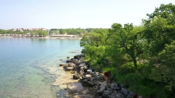 Vackert Blått Vatten Och Gröna Träd Stranden Det Sommar — Stockvideo