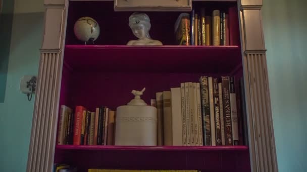 架子上有许多书 这个房间看起来很老套但很时髦 — 图库视频影像