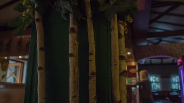 Чудові Бамбукові Дерева Посеред Ресторану — стокове відео