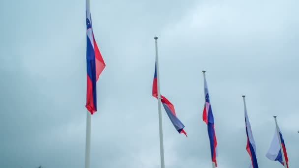 Siete Banderas Eslovenas Ondean Viento Día Ventoso Demasiado Cálido — Vídeo de stock