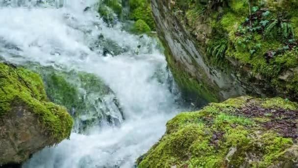 水は岩の上を高速で流れる 水の泡が見える 苔に覆われた岩 — ストック動画