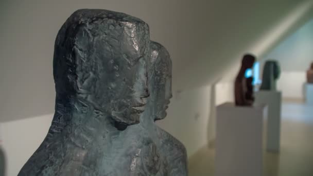 Sono Molte Statue Nel Musuem Con Mobili Vecchio Stile — Video Stock