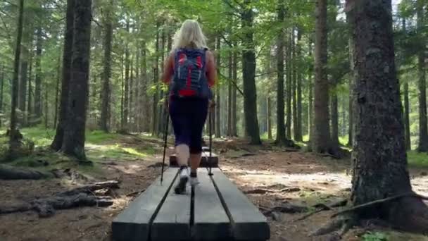 Young Woman Walking Wooden Path Forest — Stock Video