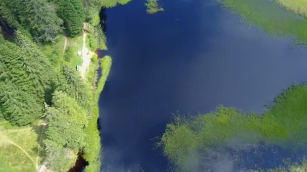 Lago Bosque Fuera Común Disparo Aéreo Naturaleza Realmente Hermosa Verano — Vídeos de Stock