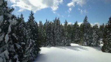 Manzara kışın muhteşem görünüyor. Ladin ağaçları karla kaplıdır ve manzarası harikadır..