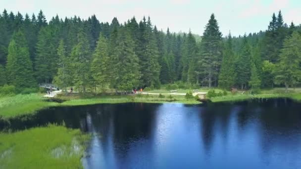 Deux Oiseaux Survolent Lac Bleu Nature Est Vraiment Belle Verte — Video