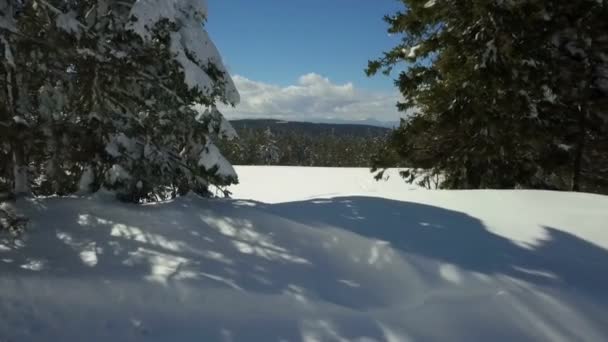 一个不错的滑雪场 周围到处都是雪 太阳也在照耀着 — 图库视频影像