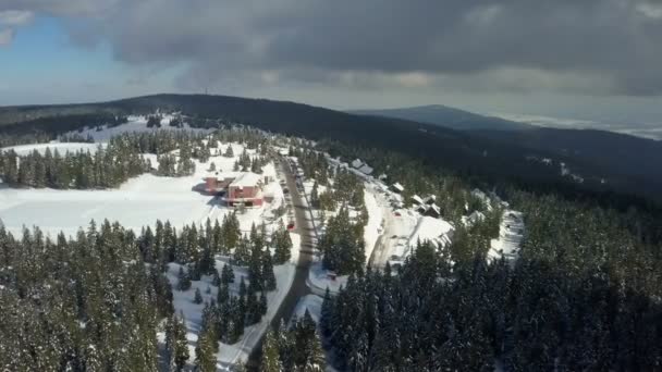 Can See Nice Village Skiing Resort Aerial Shot Many Forests — Stock Video