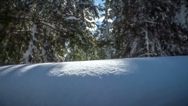 Liegt Viel Schnee Auf Dem Boden Die Sonne Scheint Durch — Stockvideo