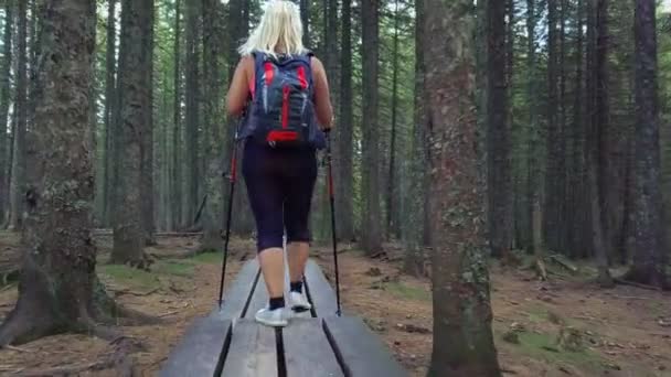 Młoda Kobieta Idzie Drewnianą Ścieżką Lesie — Wideo stockowe