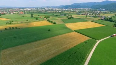 Güneşli bir günde güzel tarım alanının hava görüntüleri.