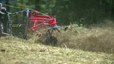 Bir adam saman hazırlarken etrafta saman uçuşuyor. Şimdi yaz zamanı..