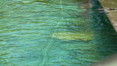 Bir adam güzel yeşil bir suya balık kancası atıyor..