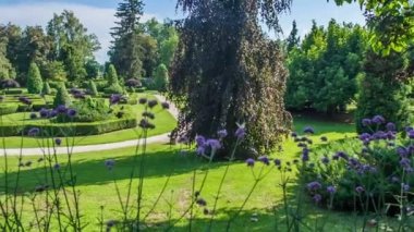 Yazın muhteşem bir yeşil park. Genç bir çift burada düğün fotoğraflarını çekiyor..