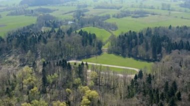 Ormanlar ve yeşil çayırlar. Hava görüntüsü. Sonbahar geldi..