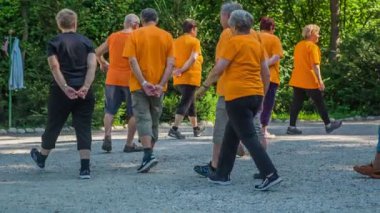 DOMZALE, SLOVENIA - 21. Haziran 2015 'te bir grup son sınıf öğrencisi bir çemberde birlikte yürüyor. Elleri sırtlarında rahatlar..