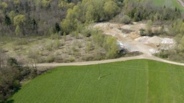 Yeşil bir ot ve ıssız bir orman. Hava görüntüsü.