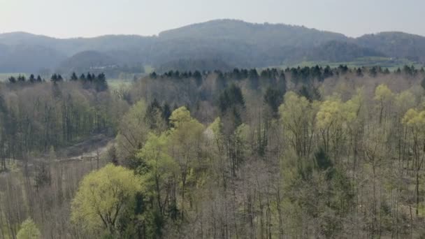 Sisli Bir Sonbahar Günü Kırsal Bölge Sakin Görünüyor Hava Görüntüsü — Stok video