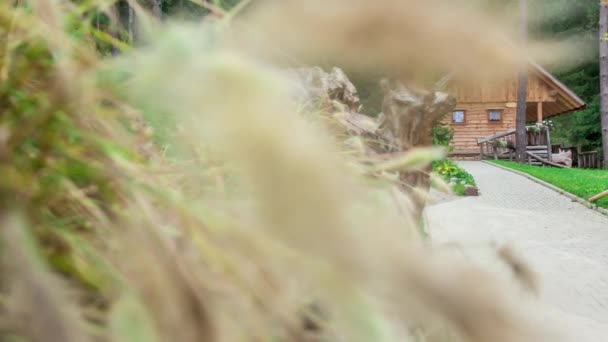 Een Vredige Natuur Een Houten Huis Het Midden Ervan Alles — Stockvideo