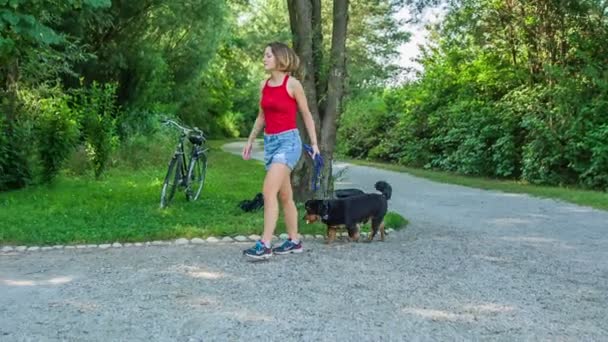 Eine Junge Frau Nähert Sich Mit Ihrem Hund Einer Bank — Stockvideo