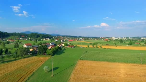 Aerial Footage Beautiful Agro Field Sunny Day — Stock Video