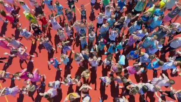 Grize Slovénie Juin 2017 Les Enfants Saluent Caméra Vue Aérienne — Video