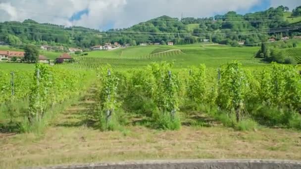 Beelden Van Natuur Uitzicht Vanaf Auto Tijdens Een Roadtrip — Stockvideo