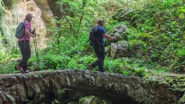 夫婦が橋を渡って豪華な自然へと歩いている すべては緑で咲く — ストック動画