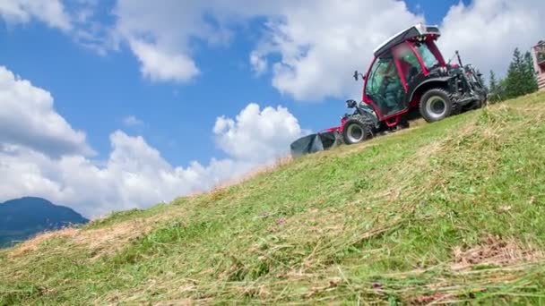 Tractor Está Conduciendo Una Colina Joven Agricultor Está Preparando Heno — Vídeo de stock