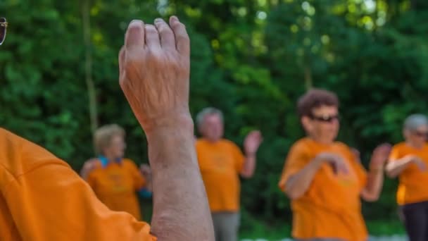 Domzale Słowenia Czerwca 2015 Seniorzy Ćwiczą Nadgarstkach Poruszają Nadgarstkami Bardzo — Wideo stockowe