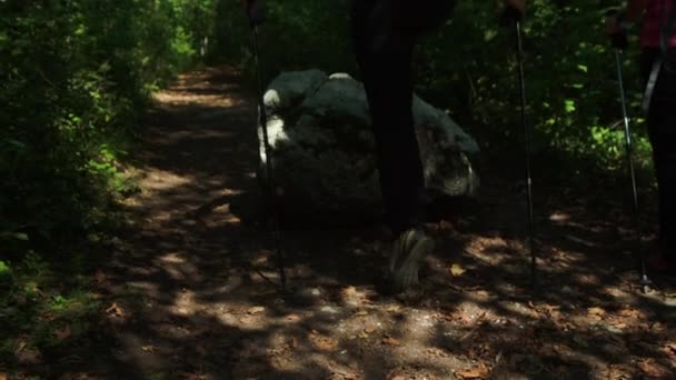 Uomo Calpesta Una Grande Roccia Mentre Lui Sua Moglie Camminano — Video Stock