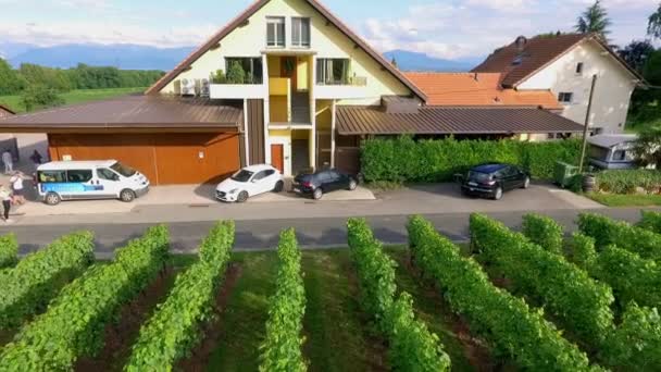 Magnifique Vignoble Verdoyant Pleine Nature Une Maison Hôtes Derrière — Video