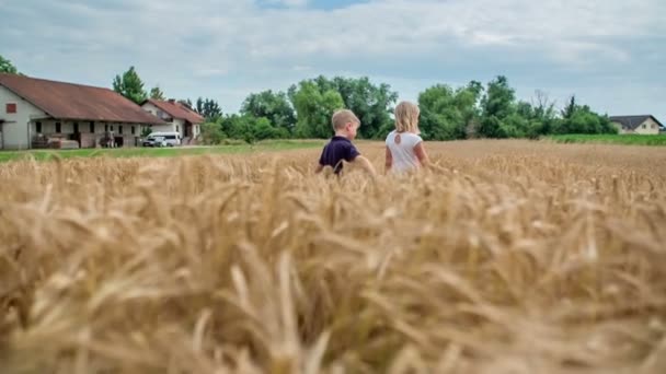 Lycklig Bror Och Syster Går Över Fältet Och Njuter Sin — Stockvideo