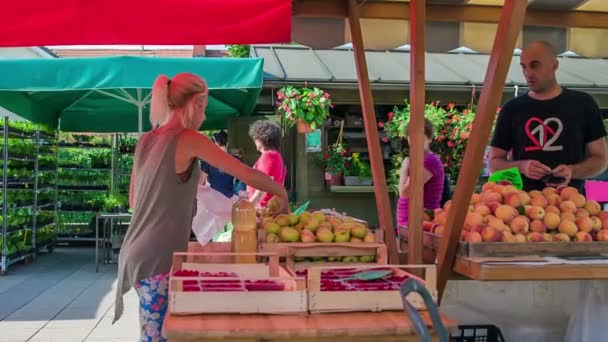 Domzale Eslovenia Julio 2018 Personas Comprando Producción Agricultores Frescos Mercado — Vídeo de stock