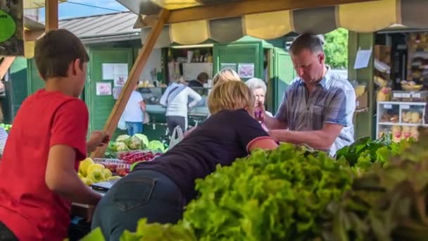 Domzale Eslovénia Julho 2018 Pessoas Que Compram Produtos Agrícolas Frescos — Vídeo de Stock