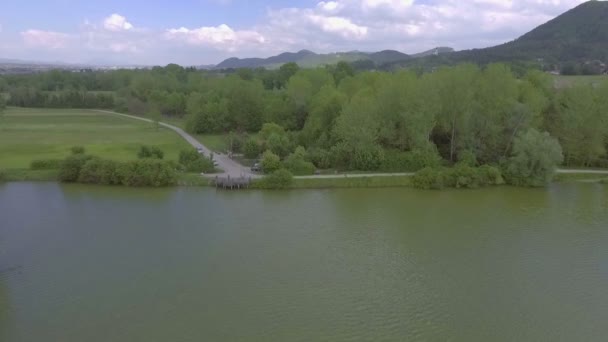 Гарний Зелений Вигляд Навколо Озера Словенії Чудовий Краєвид — стокове відео