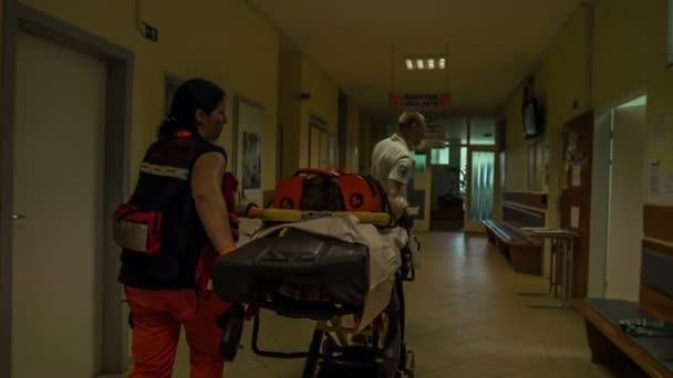 Dois Médicos Estão Correndo Através Corredor Para Dos Quartos Hospital — Vídeo de Stock