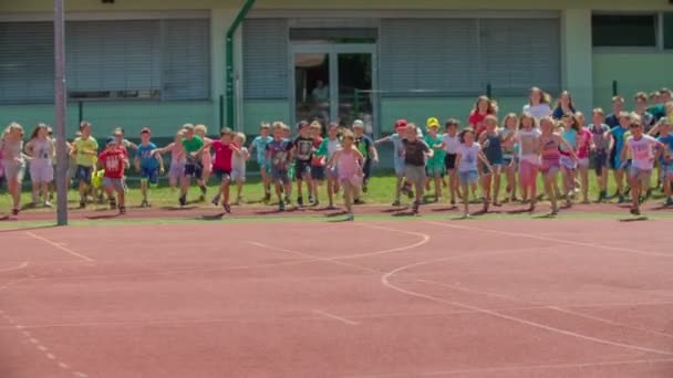 Grize Slovénie Juin 2017 Les Jeunes Enfants Sont Debout Sur — Video