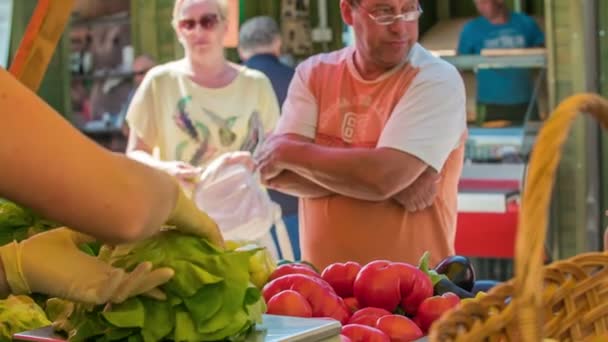Domzale Eslovenia Julio 2018 Personas Comprando Producción Agricultores Frescos Mercado — Vídeos de Stock
